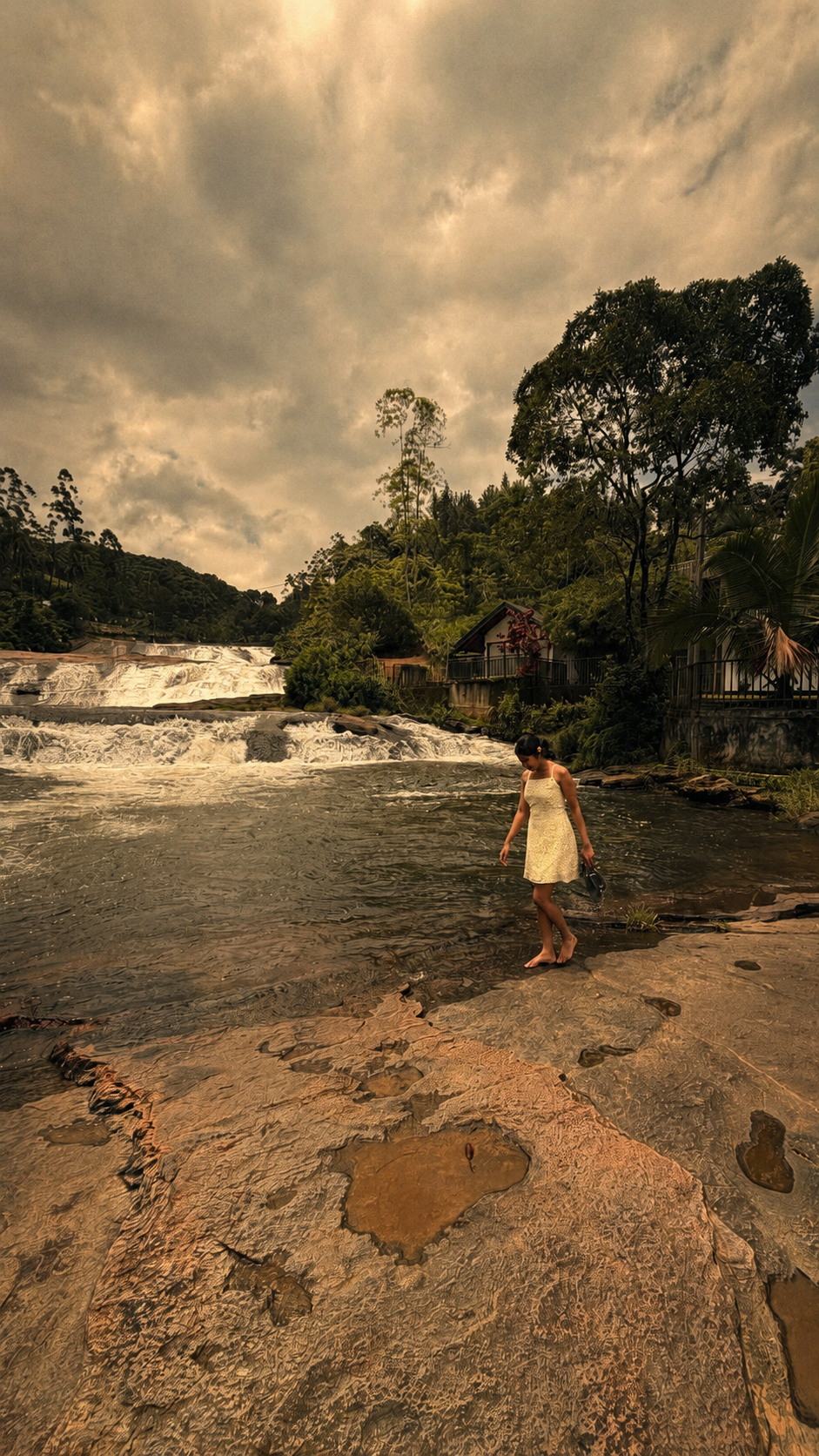 Ceylon Fusion Gallery